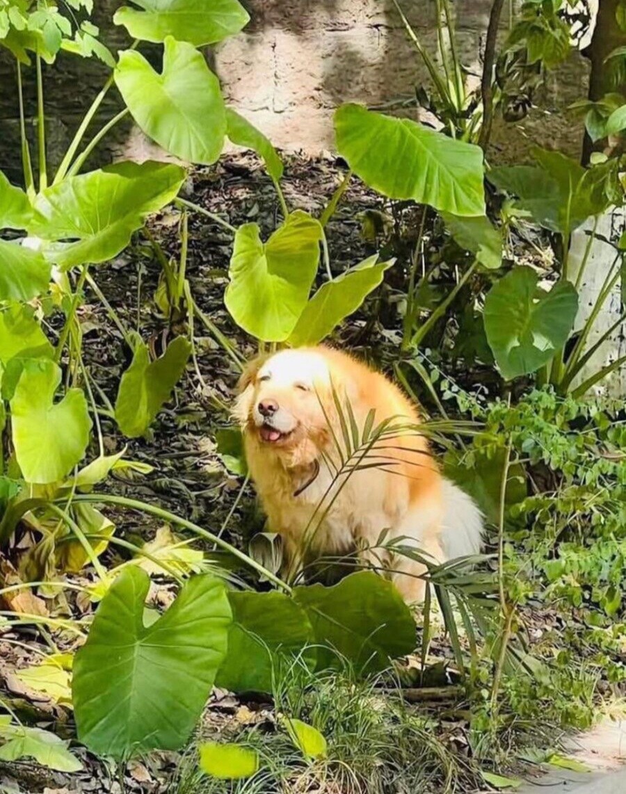배변보고) 직장에서 싸는게 맞아요_1.jpg
