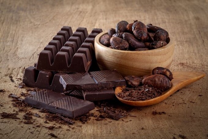 미생물을 조절해 고오급 카카오 콩을 만드는데 성공함_1.jpg