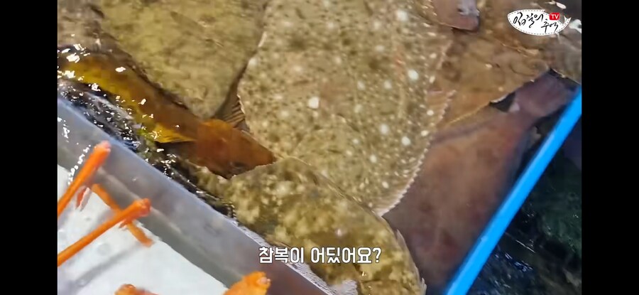 활어 수산시장에서 참복 사려고 갔다가 생긴 일.jpg_6.jpg