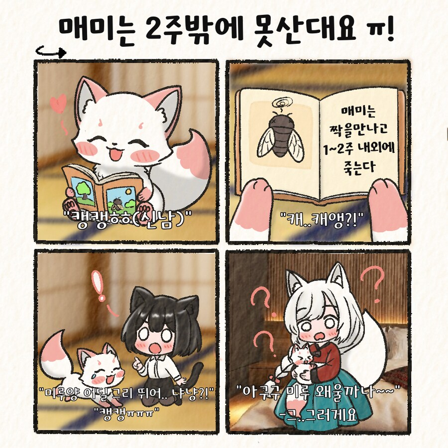 (여우찻집)예쁜여우 보구가용! 여우찻집 491~493편!!_4.png