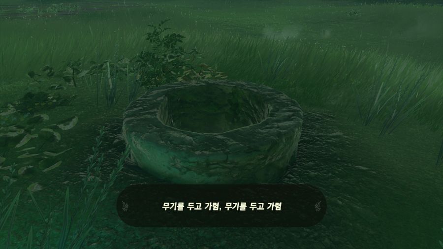 젤다의 전설 티어즈 오브 더 킹덤_30.png