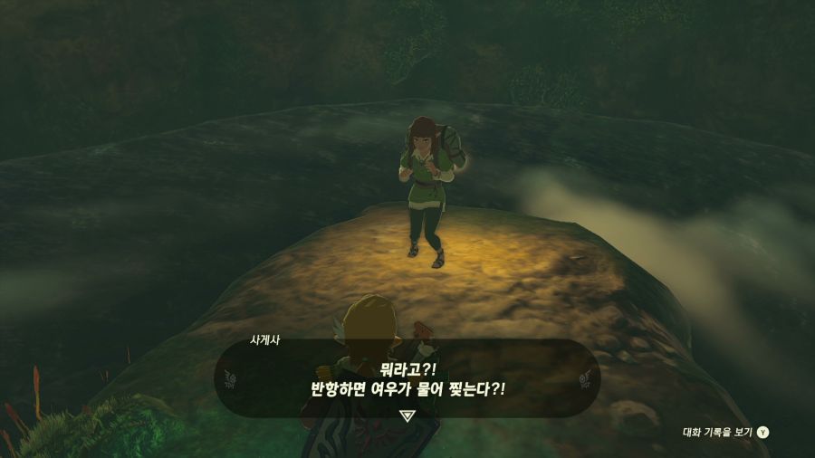 젤다의 전설 티어즈 오브 더 킹덤_39.png