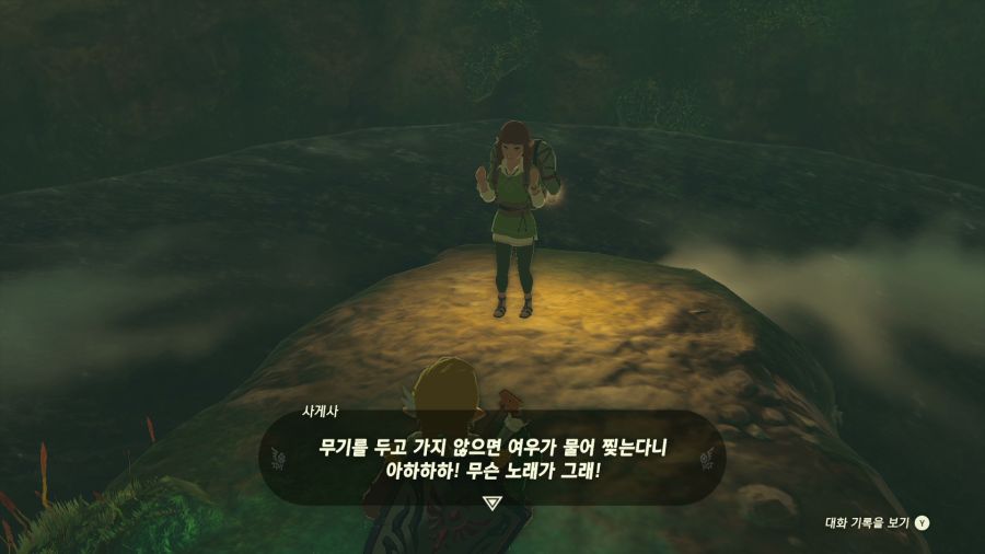 젤다의 전설 티어즈 오브 더 킹덤_40.png