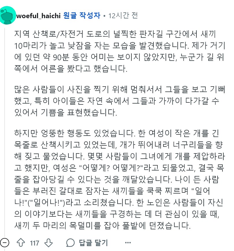 레딧) 의정부에서 너구리 새끼들을 발견_8.png