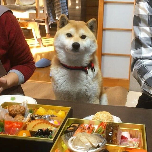 대표님의 건배사가 안끝나고 있다_1.jpg