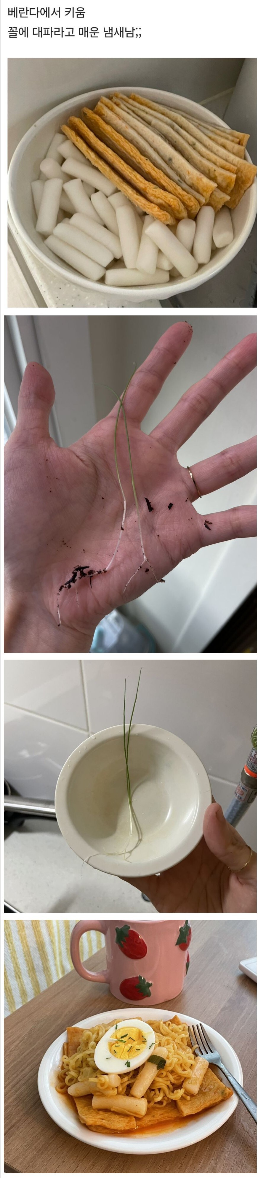 직접 기른 대파로 만든 떡볶이.jpg_1.jpg