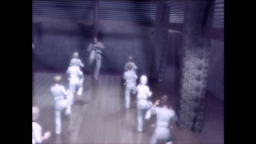 DEAD OR ALIVE 3_37.jpg