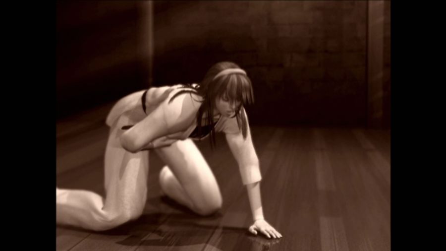 DEAD OR ALIVE 3_43.jpg