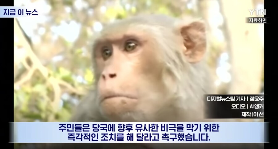 인도) 아기가 원숭이에 납치되어 살해_8.jpg