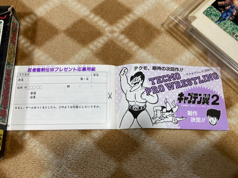 닌자용검전(忍者龍剣伝) NINJA RYUKENDEN_36.jpg