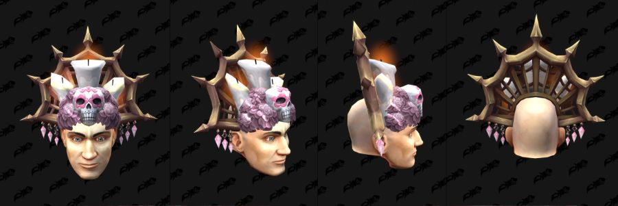 와우 11.2.5 신규 망자의 날 변신 - 꽃 왕관, 해골 헬멧_2.jpg