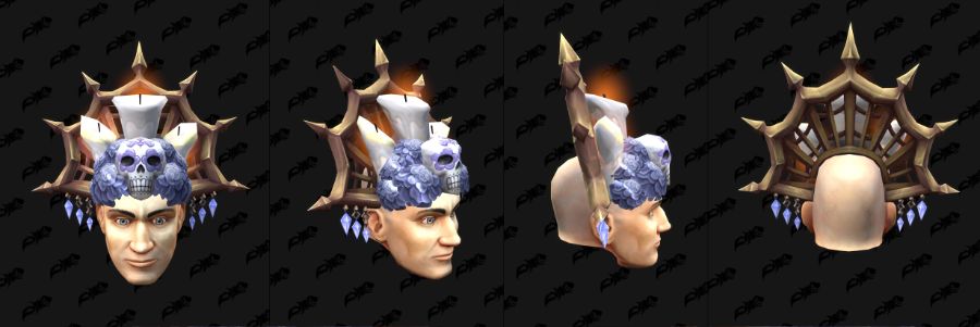 와우 11.2.5 신규 망자의 날 변신 - 꽃 왕관, 해골 헬멧_5.jpg