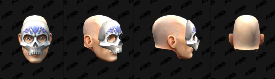 와우 11.2.5 신규 망자의 날 변신 - 꽃 왕관, 해골 헬멧_10.jpg