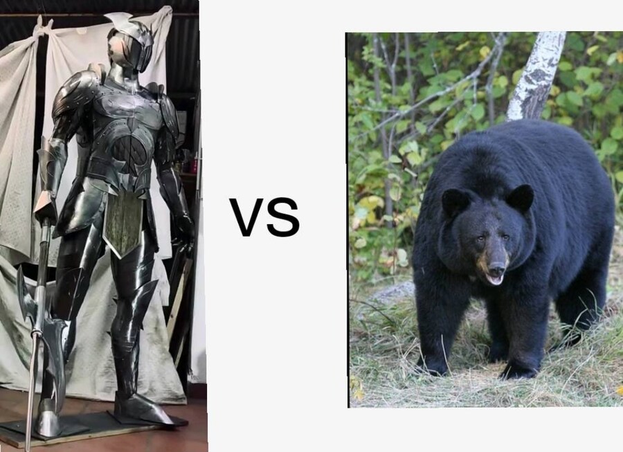사람이 곰을 근접전으로 잡는 방법.jpg_2.png