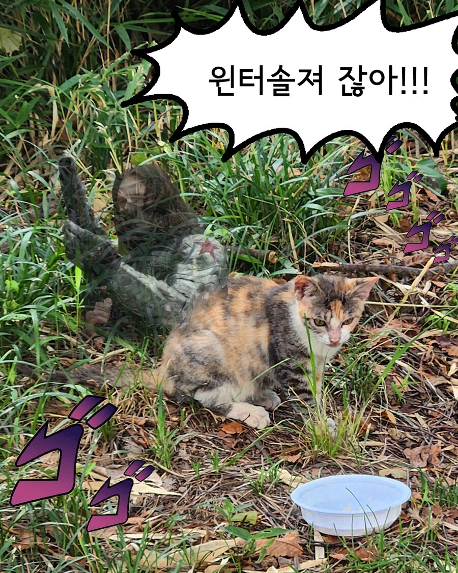 달리기와 공원, 윈터솔져 그리고 고양이.Manhwa_8.png