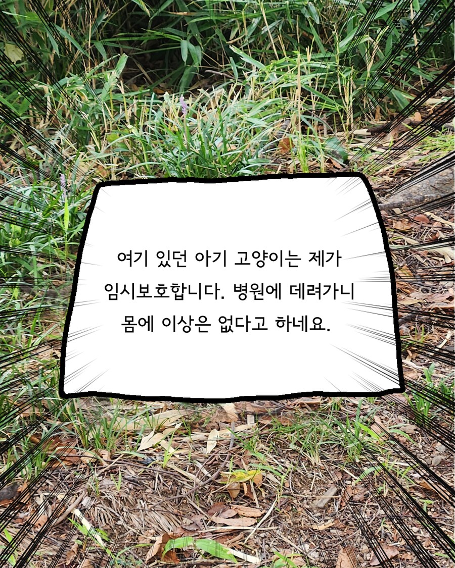 달리기와 공원, 윈터솔져 그리고 고양이.Manhwa_13.png