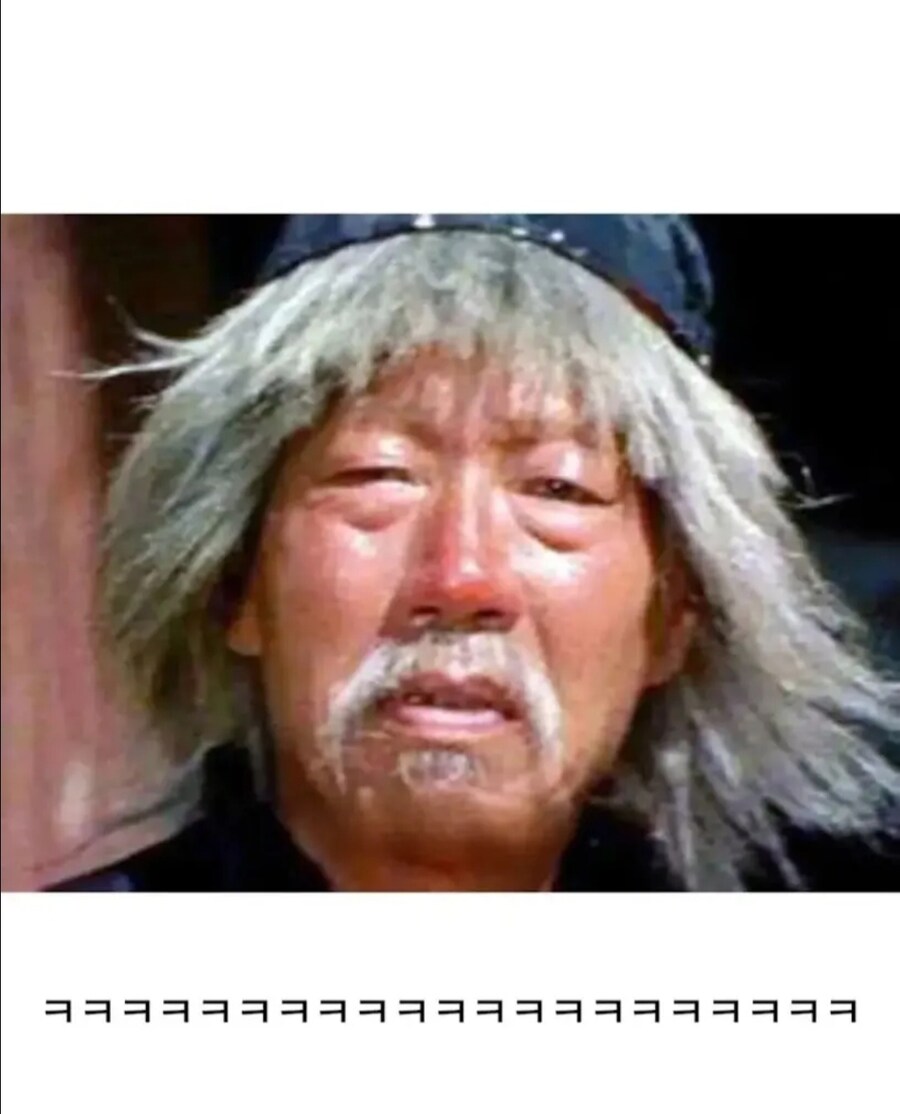 애견 미용실이 멀어서 직접 했는데 대참사.jpg_4.jpg