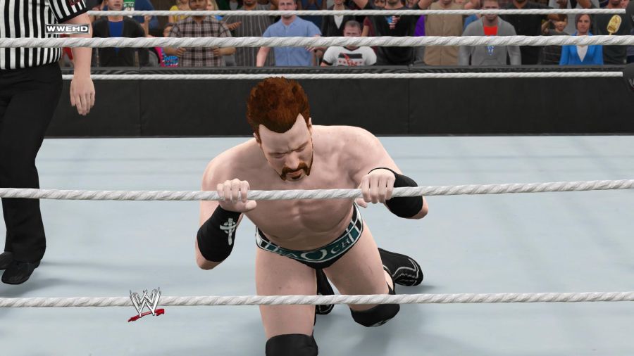 WWE 2K15_11.jpg