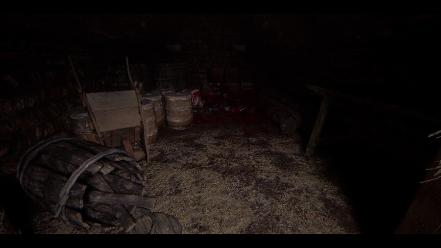 Senua's Saga_ Hellblade II_16.jpg