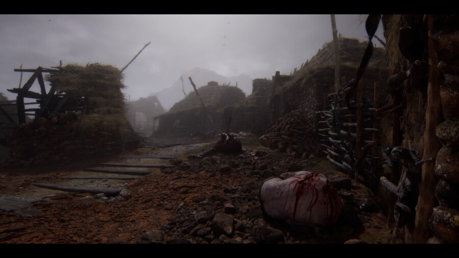 Senua's Saga_ Hellblade II_18.jpg