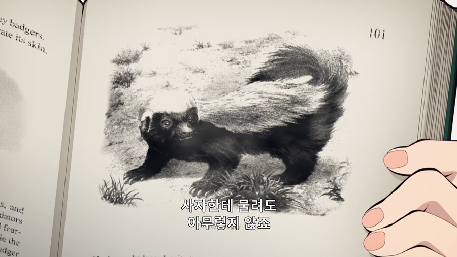 귀멸의칼날]시노부가 설명하는 이노스케_6.jpg