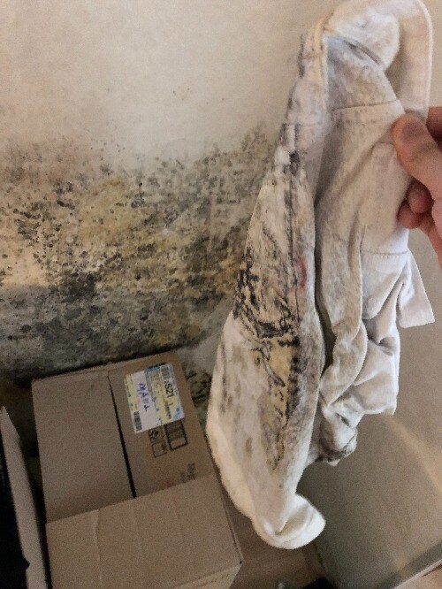 내 인생 같던 바퀴벌레와 눈 마주친 새벽, 공황 시작 (바퀴벌레사진x)_1.jpg