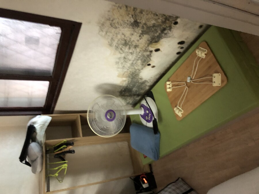 내 인생 같던 바퀴벌레와 눈 마주친 새벽, 공황 시작 (바퀴벌레사진x)_2.jpg