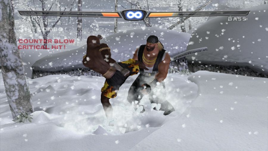 DEAD OR ALIVE 3_20.jpg