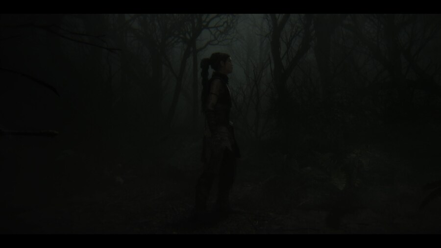 Senua's Saga_ Hellblade II_35.jpg