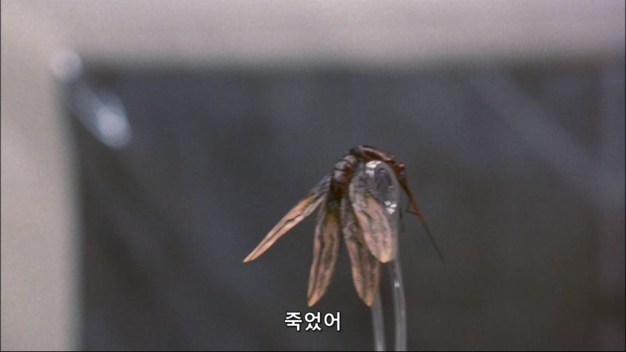 영화속 몸속에 벌레가 들어와서 고생한 남자_31.jpg