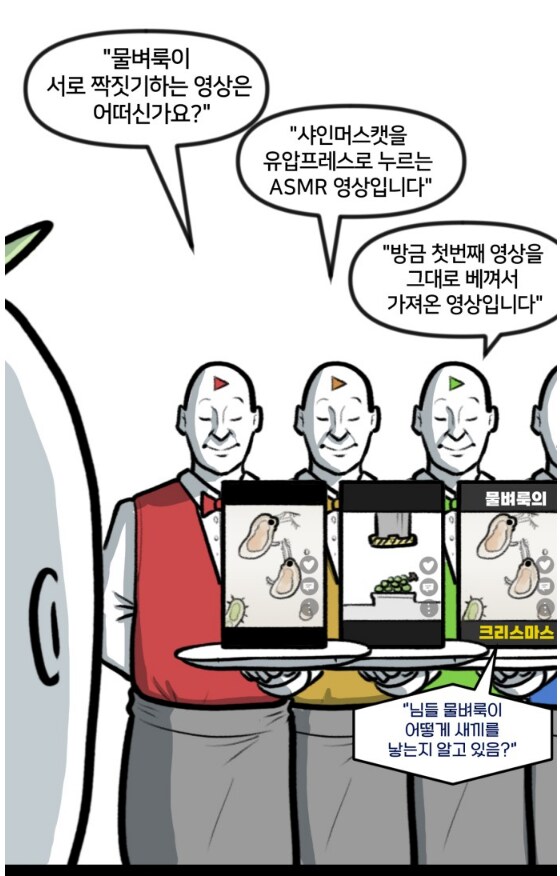 뽈쟁이 작가의 쇼츠영상 간단요약.manhwa
