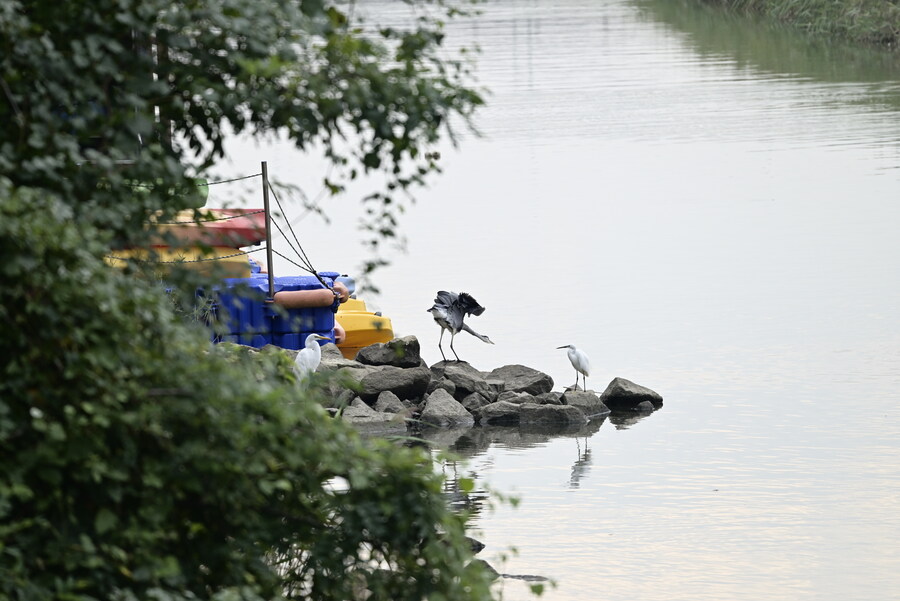 을숙도 (사진많음)_21.jpg