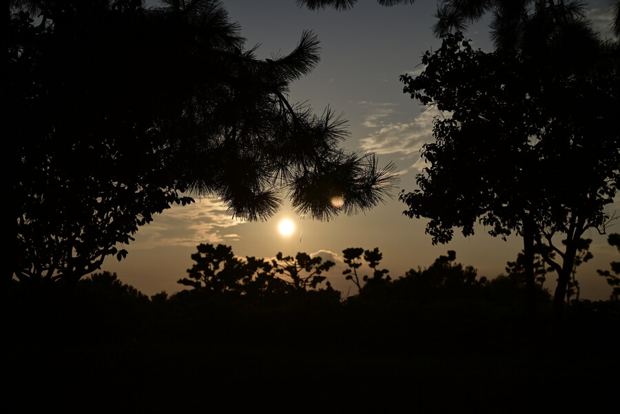 을숙도 (사진많음)_25.jpg