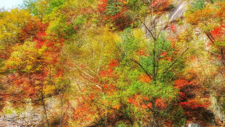 이번 가을엔 설악산 공룡능선으로 가보자고_15.jpg