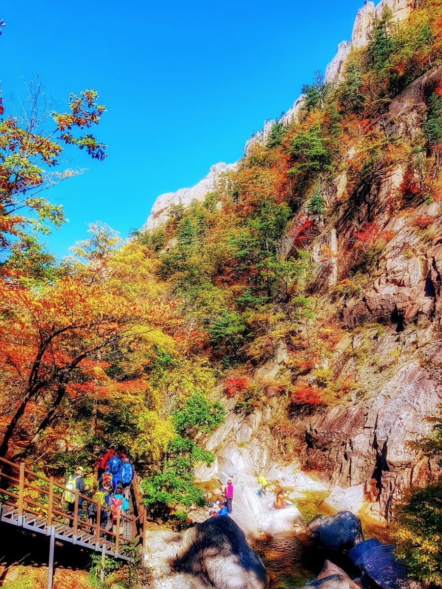 이번 가을엔 설악산 공룡능선으로 가보자고_83.jpg