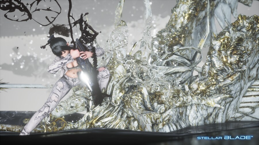 까마귀 프로비 엘더_6.png