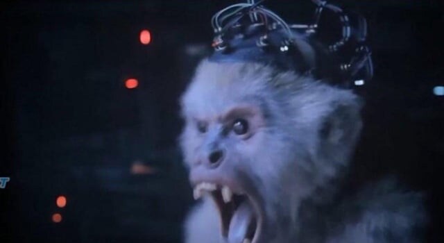 내일 영화 한편 볼까하는데_4.jpg