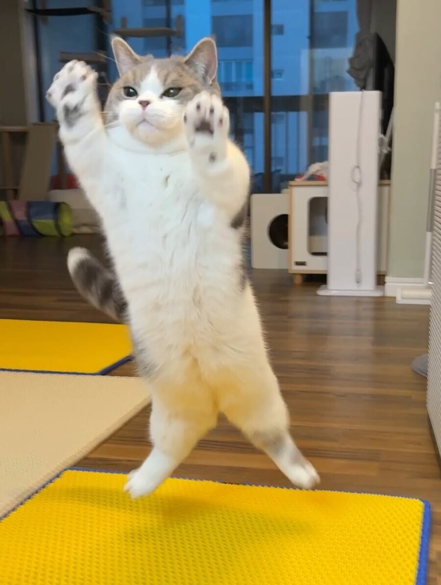 내일 영화 한편 볼까하는데_5.jpg