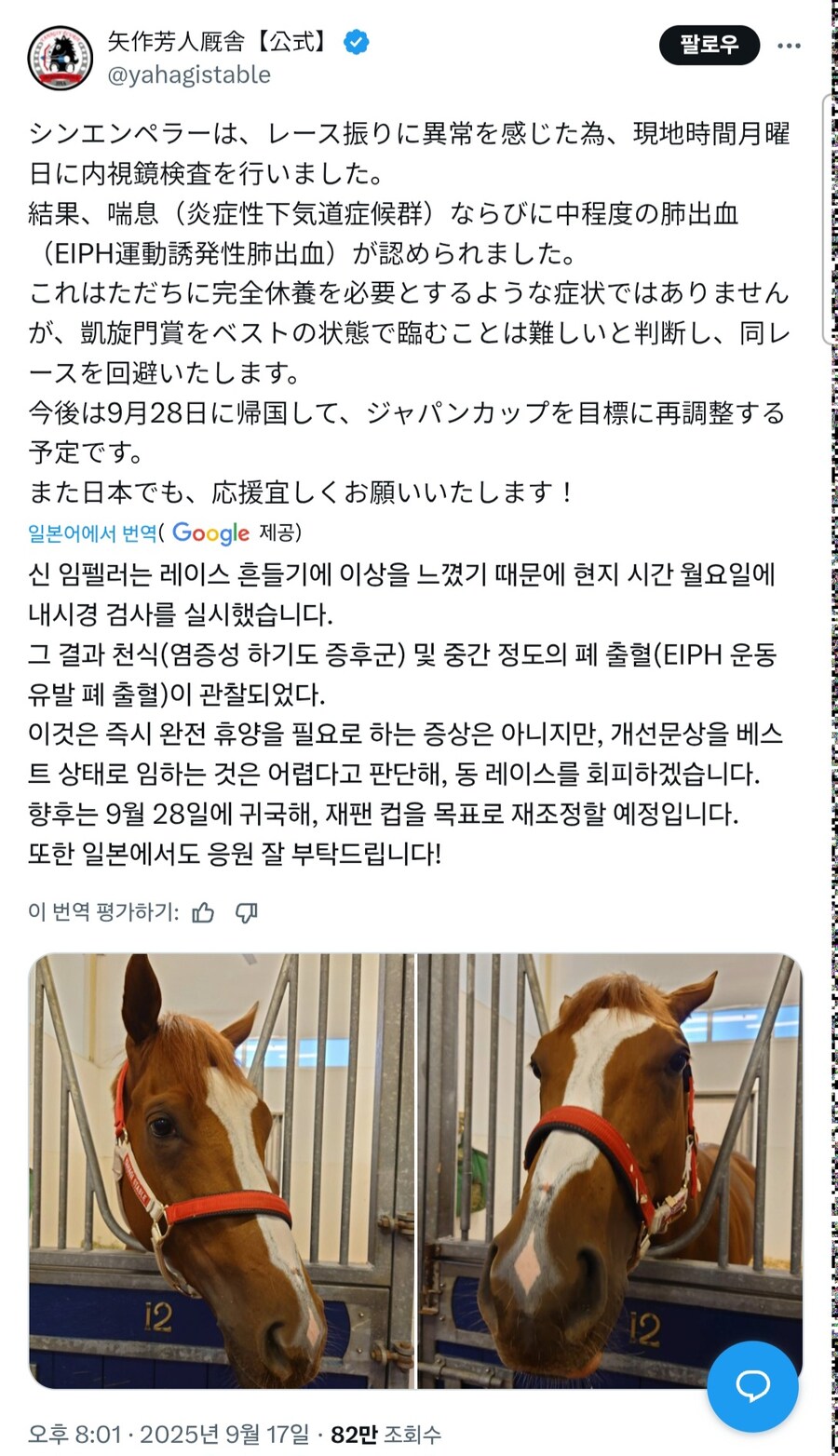 말딸,경마) 사이게임즈 후지타 사장의 신 엠페러, 개선문상 출주 포기_1.jpg