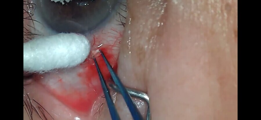 혐) 볼만한것들_3.jpg