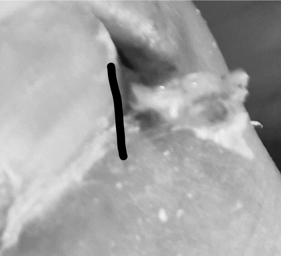 혐) 볼만한것들_11.jpg