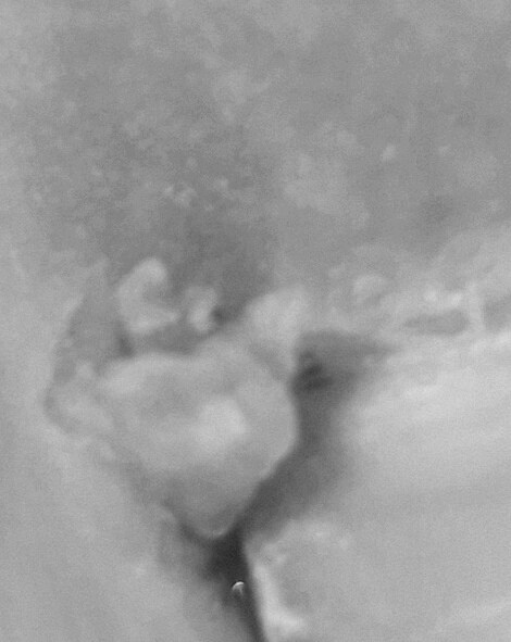 혐) 볼만한것들_12.jpg