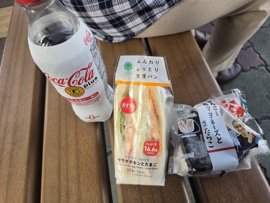 9만원 짜리 일본 왕복 비행기 티켓 썰. jpg_58.jpg