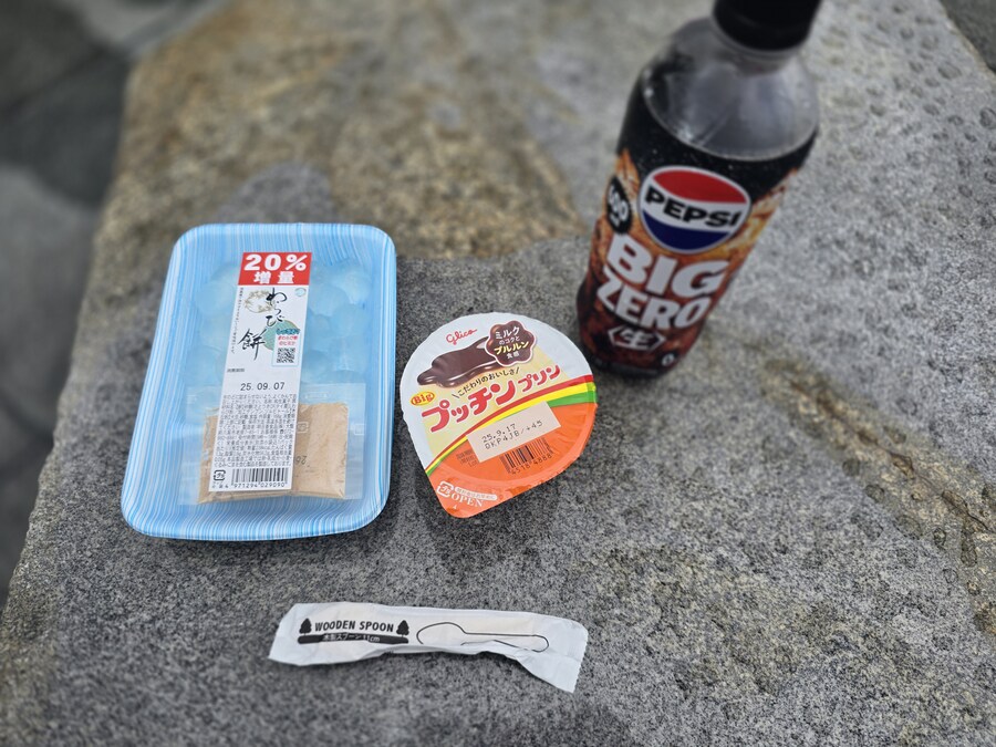 9만원 짜리 일본 왕복 비행기 티켓 썰. jpg_47.jpg