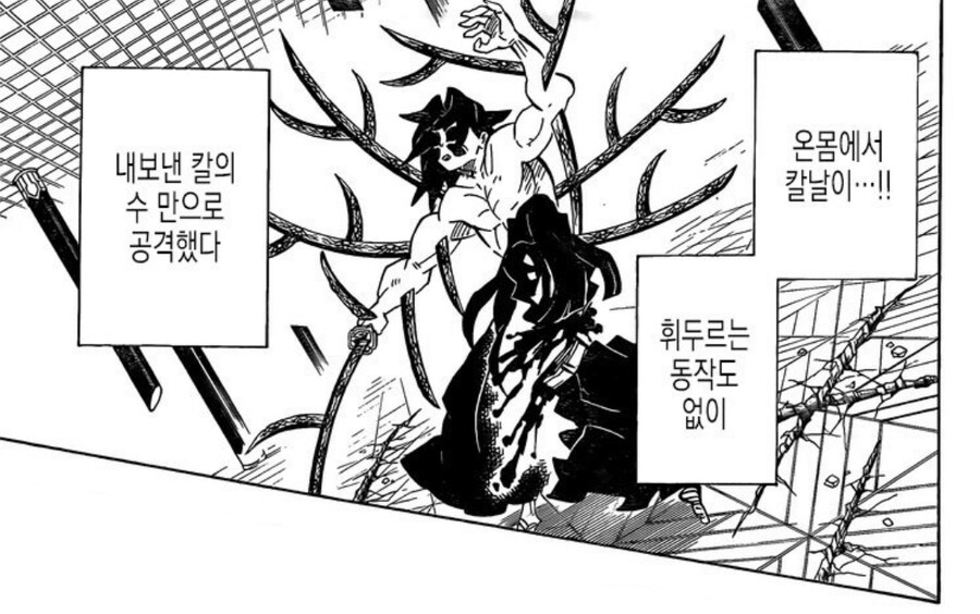 귀멸) 코쿠시보전 이길수 있었던 이유_8.jpg