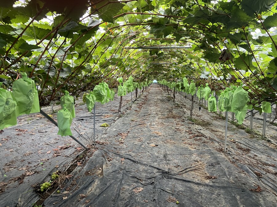 가을날씨 다 됬네_1.jpg