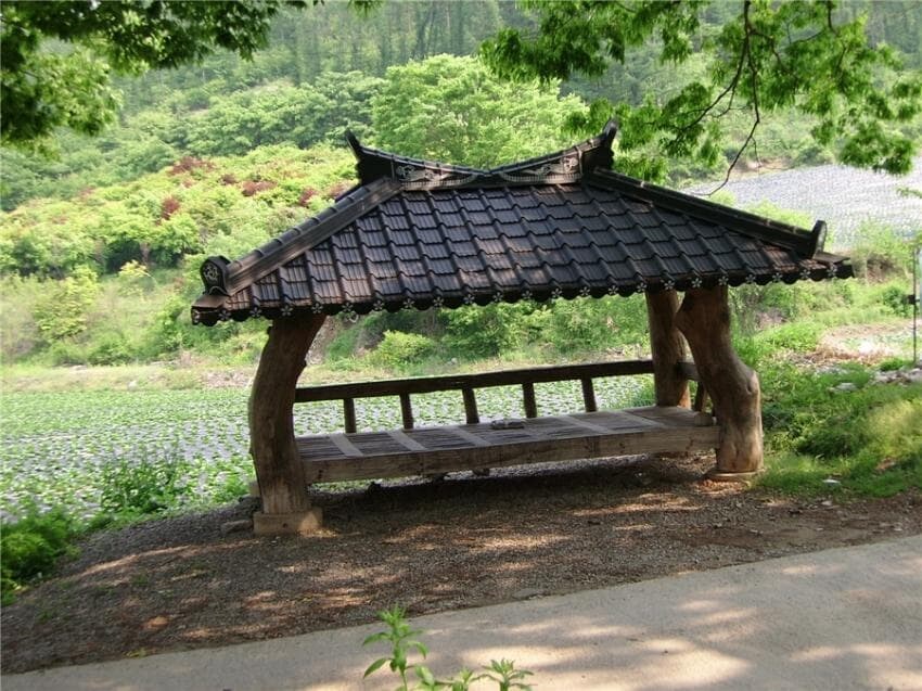 시골가면 있는거.._2.jpg