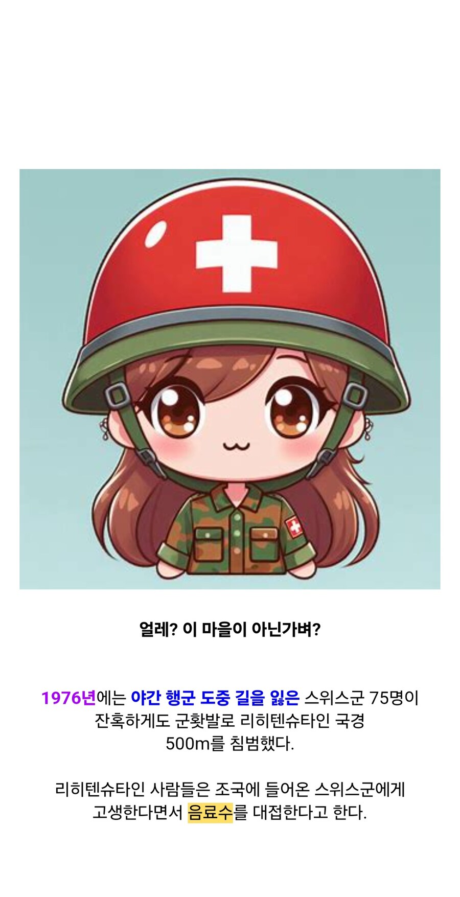 스위스가 실수로 침략한 나라_6.jpg