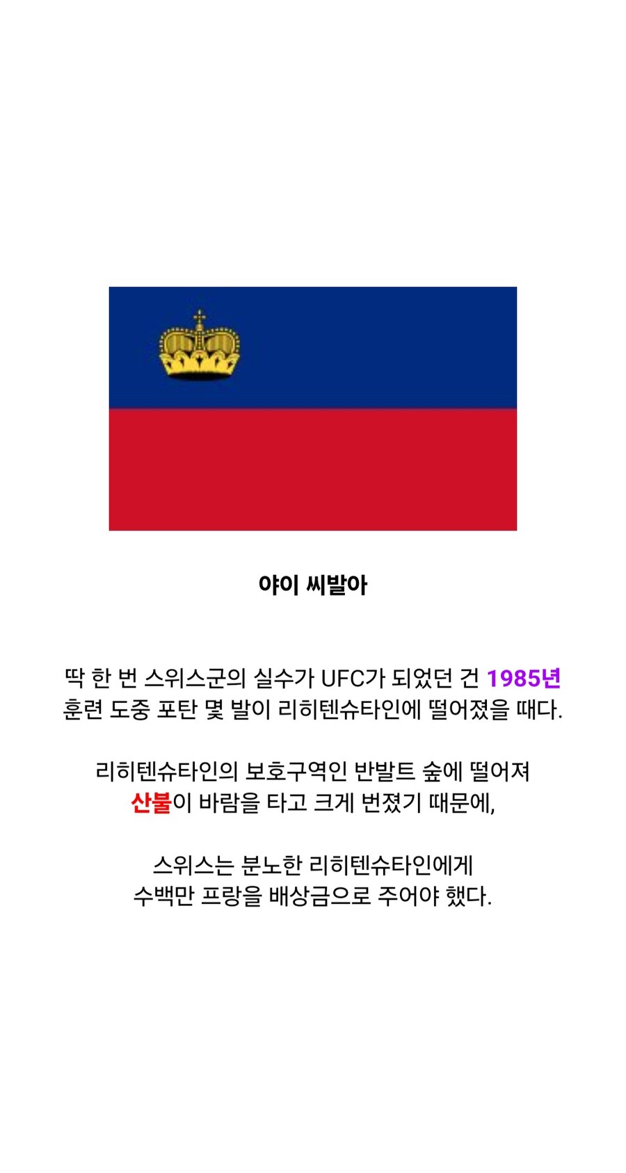 스위스가 실수로 침략한 나라_7.jpg