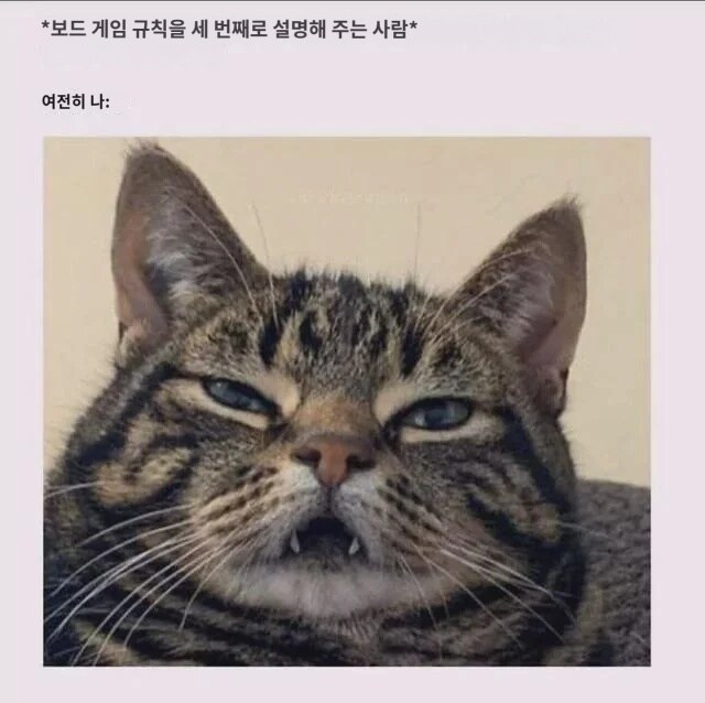 보드게임 규칙을 세번이나 설명 받음_2.jpg